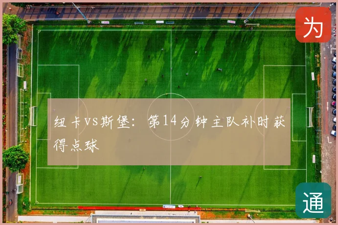 纽卡vs斯堡：第14分钟主队补时获得点球